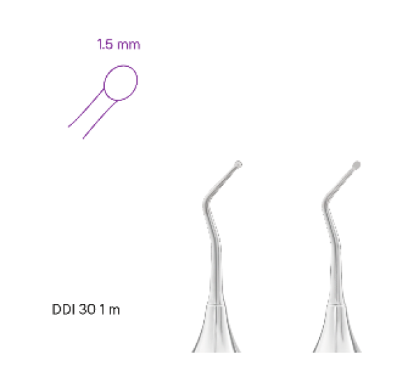 Képernyőkép 2025-08-11 152919